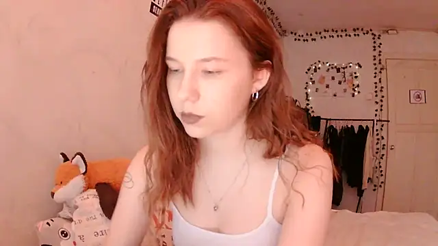 PollyStix webcam