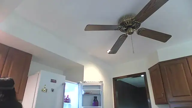 WetFlower69 webcam