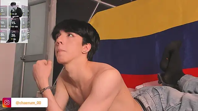 AerumChae webcam