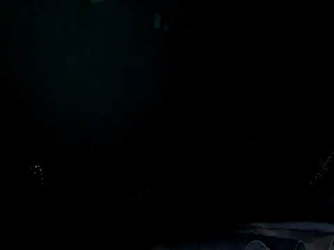 funalu webcam