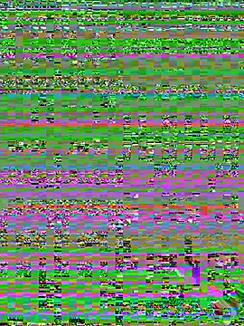the_master_foal_ webcam