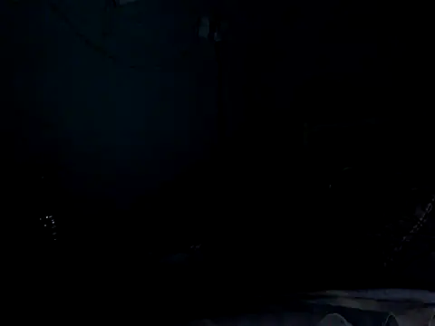 funalu webcam