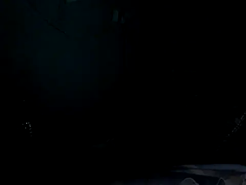funalu webcam
