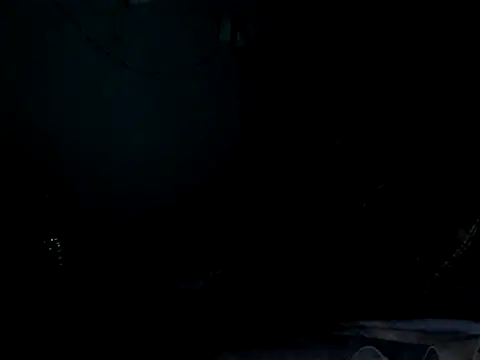funalu webcam