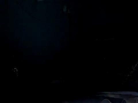 funalu webcam