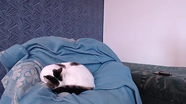 Freyja_eter webcam
