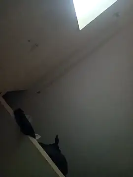 Playbcallb webcam