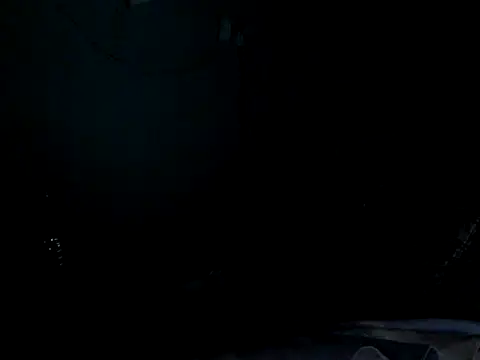 funalu webcam