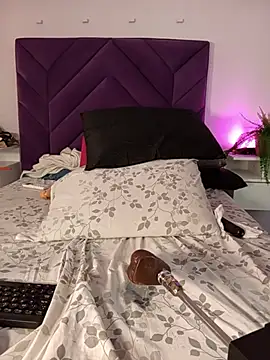 haileystone webcam