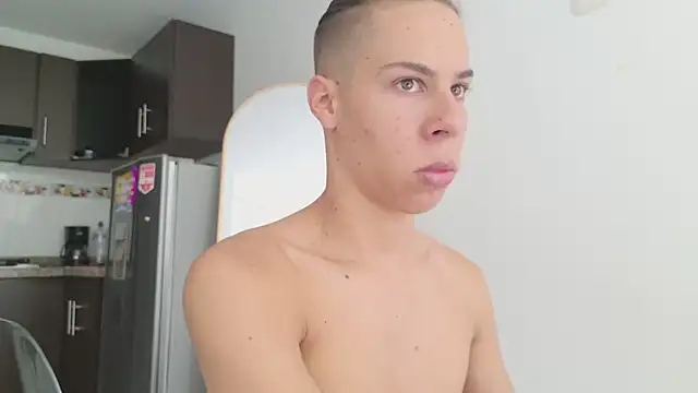 grey___27 webcam