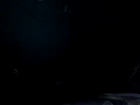 funalu webcam