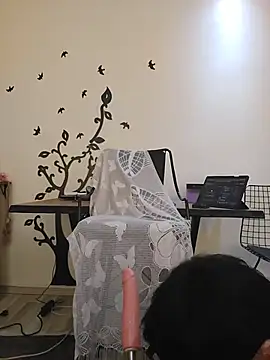 TS_ANNA_ webcam