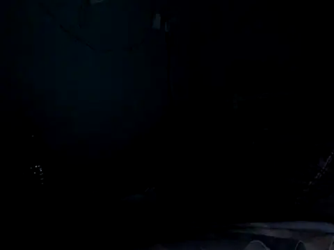 funalu webcam