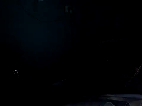 funalu webcam