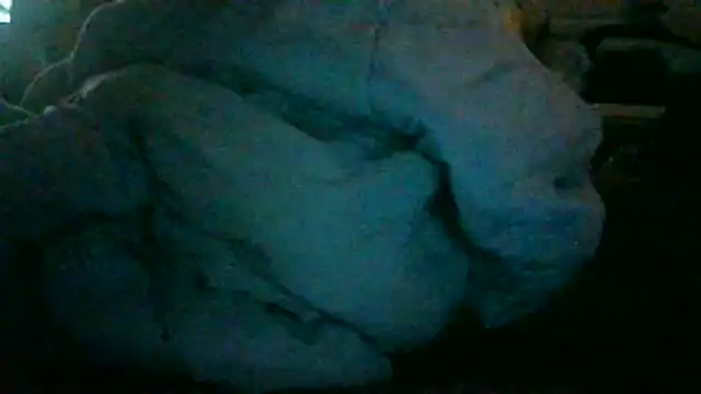 _P3RKY_IMMORTAL3_FIR3_ webcam