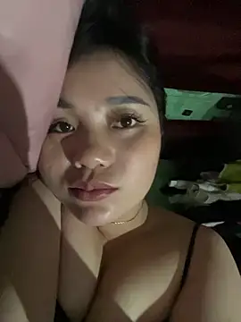 Honghoaa webcam