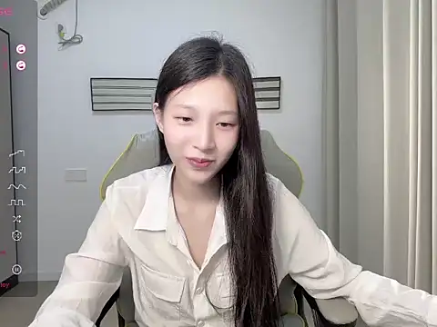 yy-1314 webcam