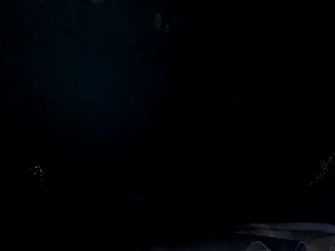 funalu webcam
