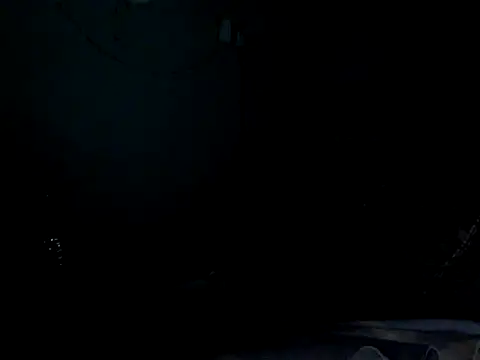 funalu webcam