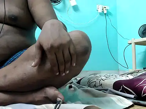 funalu webcam