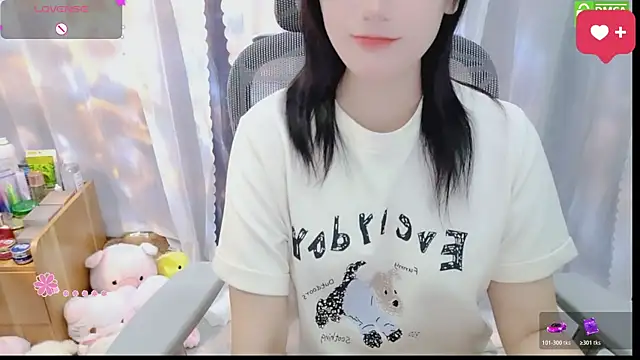 Dully_ana webcam