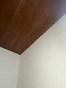 zendaa 