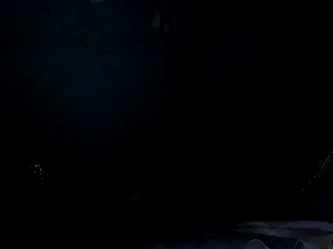funalu webcam