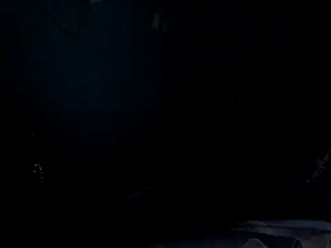 funalu webcam