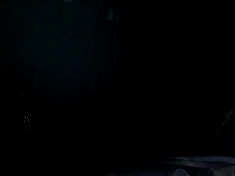 funalu webcam