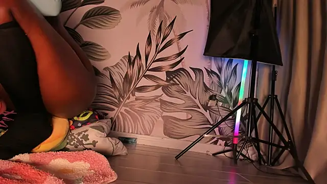 sugar-mirie webcam