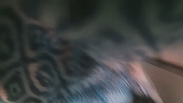 BigBull2007 webcam