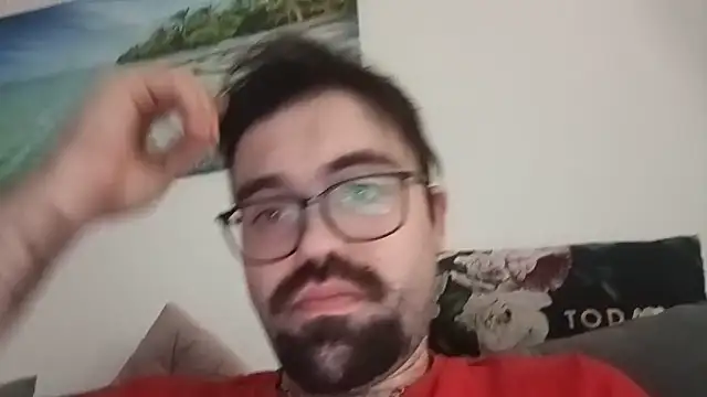 Stevus31 webcam