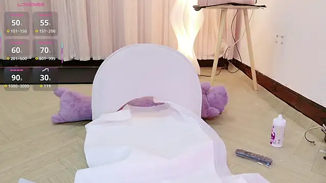 BoxedGyre- webcam