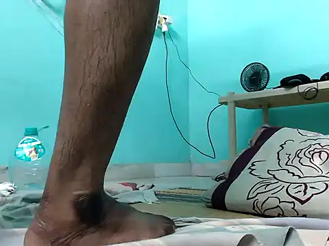 funalu webcam