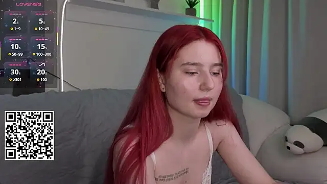 _Lua__ webcam