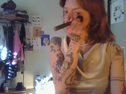 plsmecha webcam