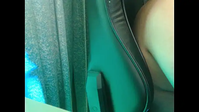 Model29 webcam