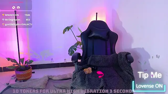Sarasavage webcam