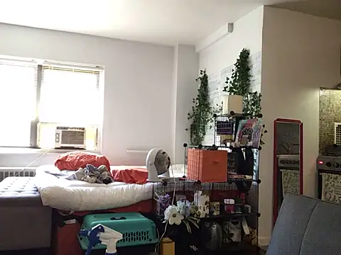 littyleesh1 webcam