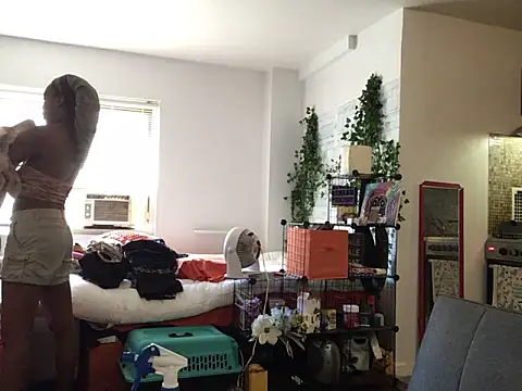 littyleesh1 webcam