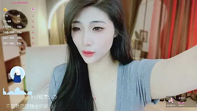 Vaidurya-Yolo webcam