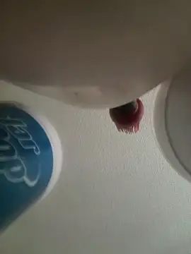 yourMasterisBored webcam