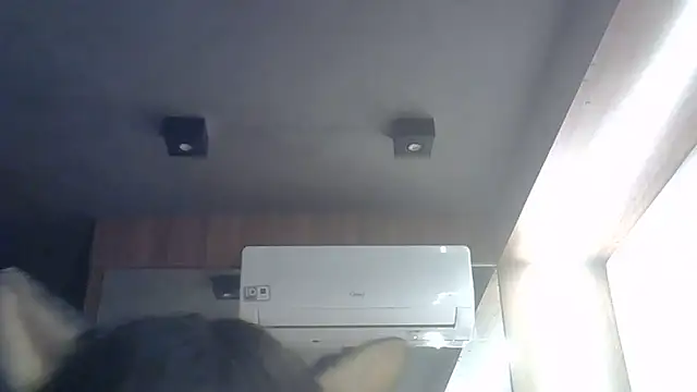 SkinnyKitten webcam