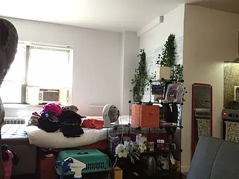 littyleesh1 webcam
