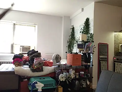 littyleesh1 webcam
