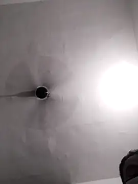 Pitercom webcam