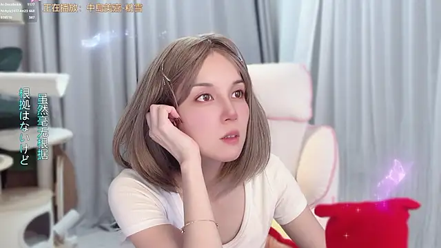 hi-AnAn webcam