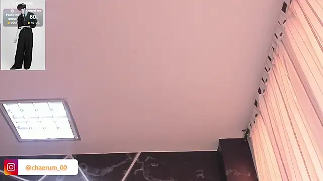 AerumChae webcam