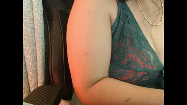 Model29 webcam