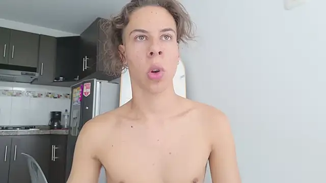 grey___27 webcam